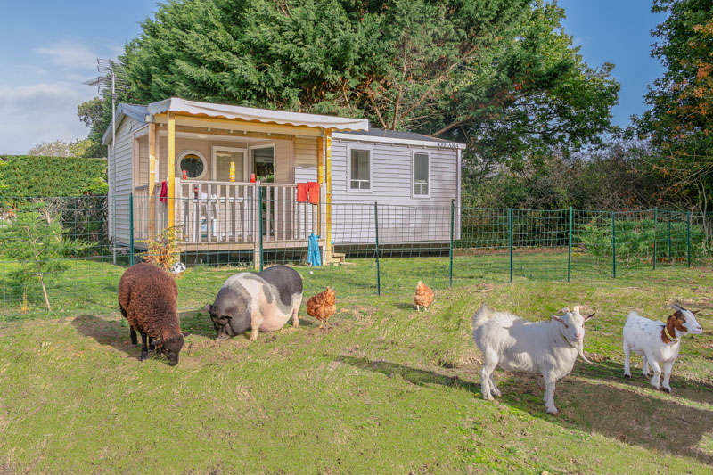 mobil home vue ferme (1) 1