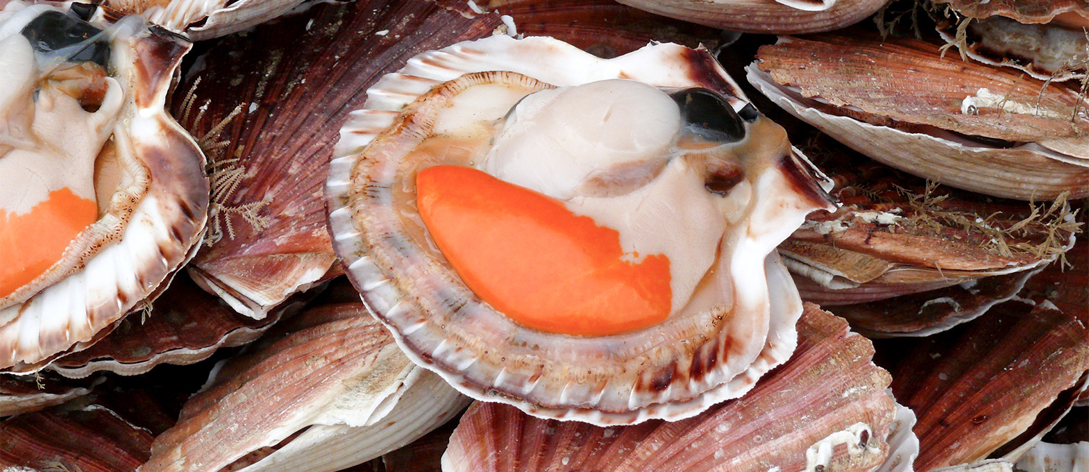la gastronomie normande