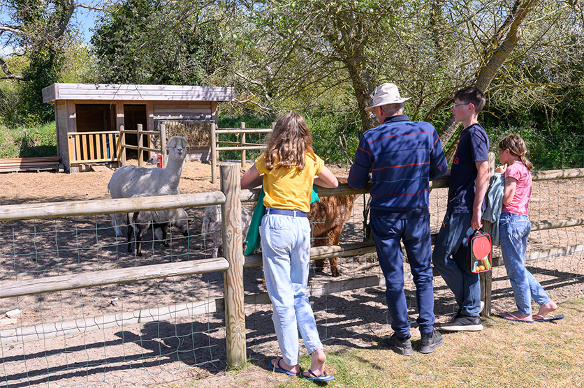 la mini ferme de notre camping ecoresponsable