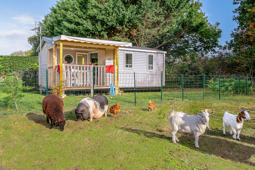 mobil home vue ferme